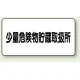 アルミ製危険物標識 少量危険物貯蔵取扱所横 300×600 鉄板 (319-12) 鉄板