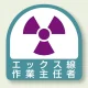 作業就任者ステッカー 2枚1組 エックス線作業主任者 (851-33) エックス線作業主任者