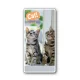 フォトジョイシール ファニーカンパニー 小ねこ (915-42B) 小ねこ