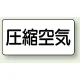 JIS配管識別ステッカー 横型 圧縮空気 大 10枚1組 (AS-3-9L) 圧縮空気 (大) 80×150mm