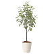 光触媒 人工観葉植物 造花 ユーカリツリー1.35 (高さ135cm) (2432A220)