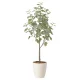 光触媒 人工観葉植物 造花 ユーカリツリー1.35 (高さ135cm) (2432A220) 135cm