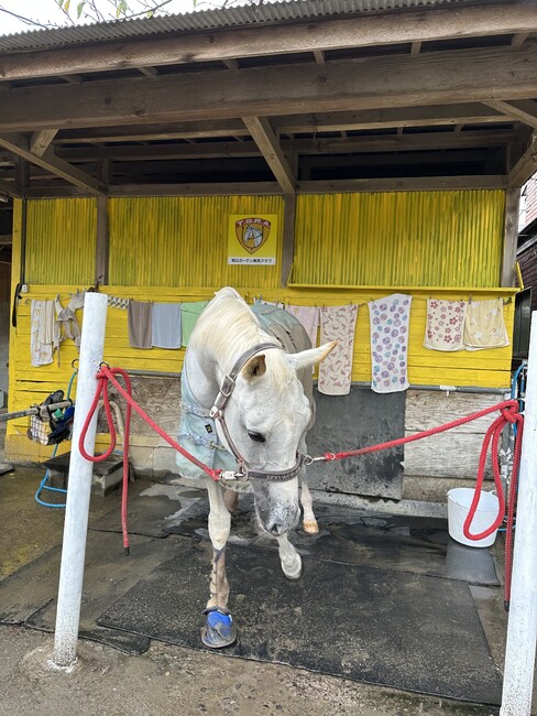 乗馬クラブのプレート看板を製作しました！