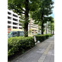 お客様写真：125390