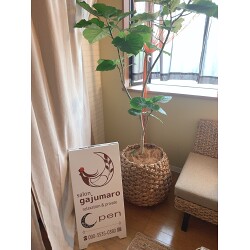 お客様制作事例写真(No.116631)