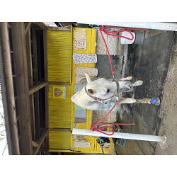 乗馬クラブのプレート看板を製作しました！