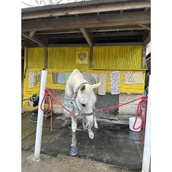 乗馬クラブのプレート看板を製作しました！