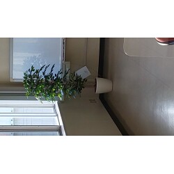 お客様制作事例写真(No.117628)