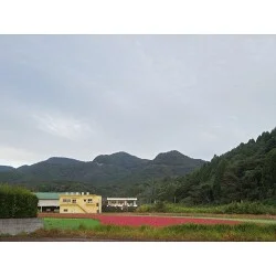 お客様写真：120646