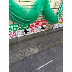 お客様制作事例写真(No.121897)