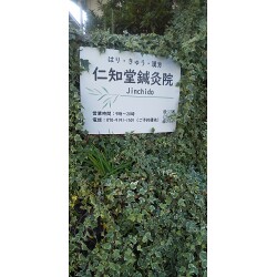 お客様制作事例写真(No.122203)