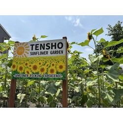 お客様制作事例写真(No.123610)