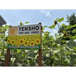 お客様写真：123610