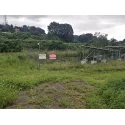 レビューNo.125566:写真-1 ?>