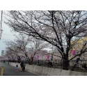 レビューNo.125049:写真-1 ?>