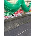 レビューNo.121897:写真-1 ?>