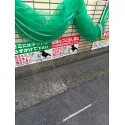レビューNo.121896:写真-1 ?>