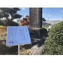レビューNo.124350:写真-2 ?>